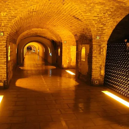 De Champagne Hotel Épernay
