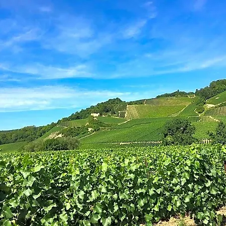 De Champagne