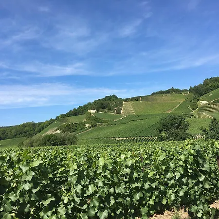 Hotel De Champagne 3*